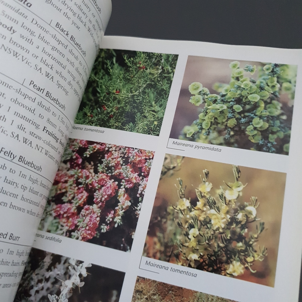 Field Guide to Australian Wildflowers Sofcover Book - Picture 5 of 7